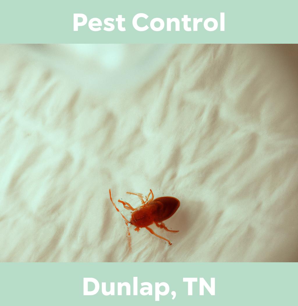 pest control in Dunlap Tennessee