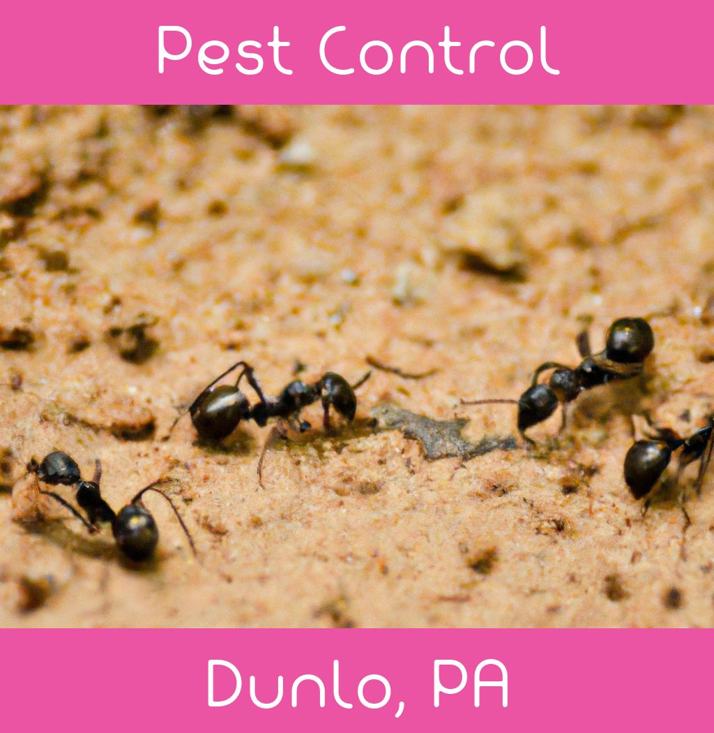 pest control in Dunlo Pennsylvania