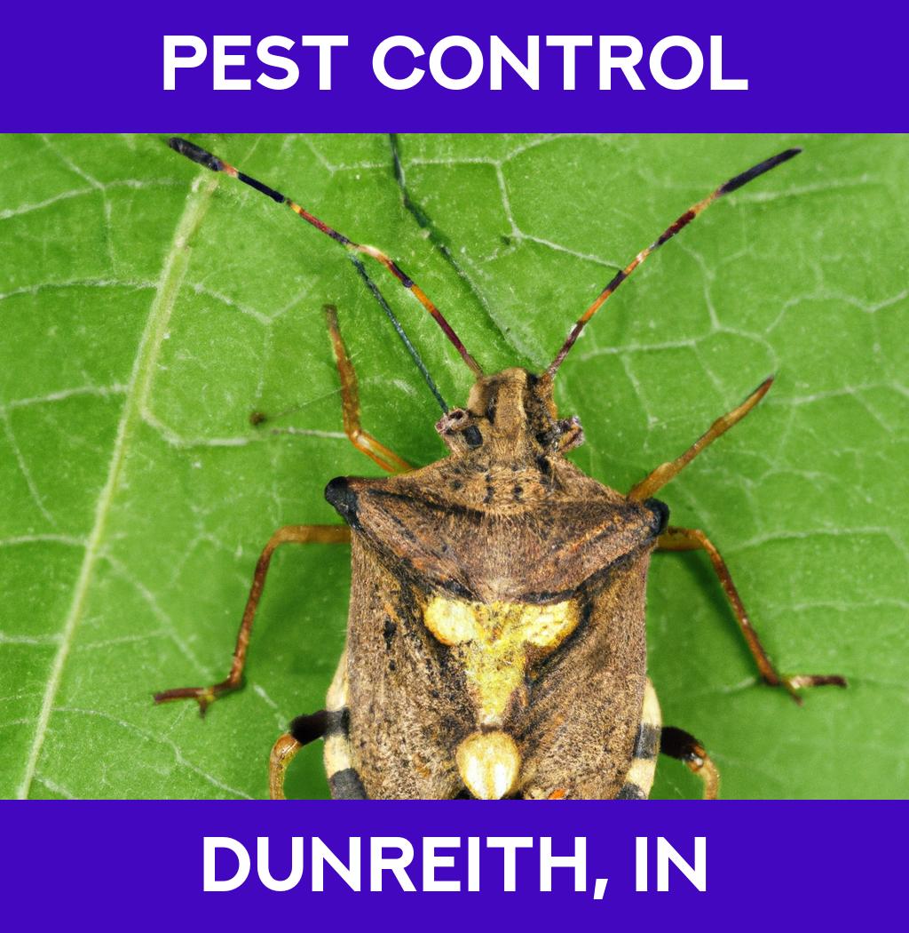 pest control in Dunreith Indiana