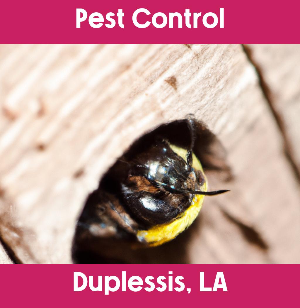 pest control in Duplessis Louisiana