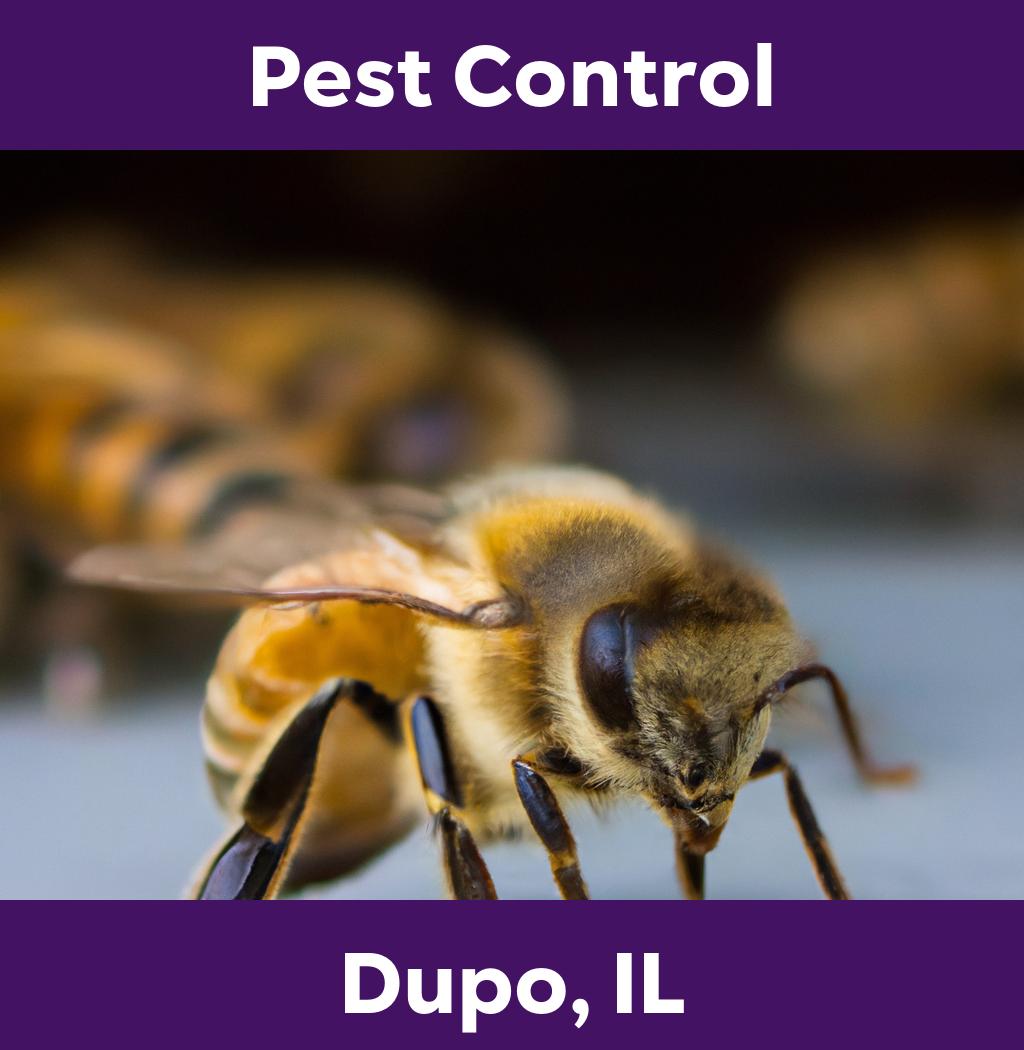 pest control in Dupo Illinois