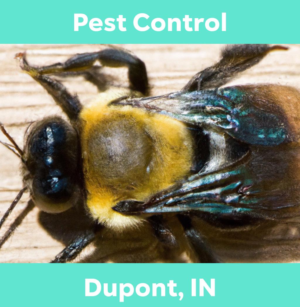 pest control in Dupont Indiana