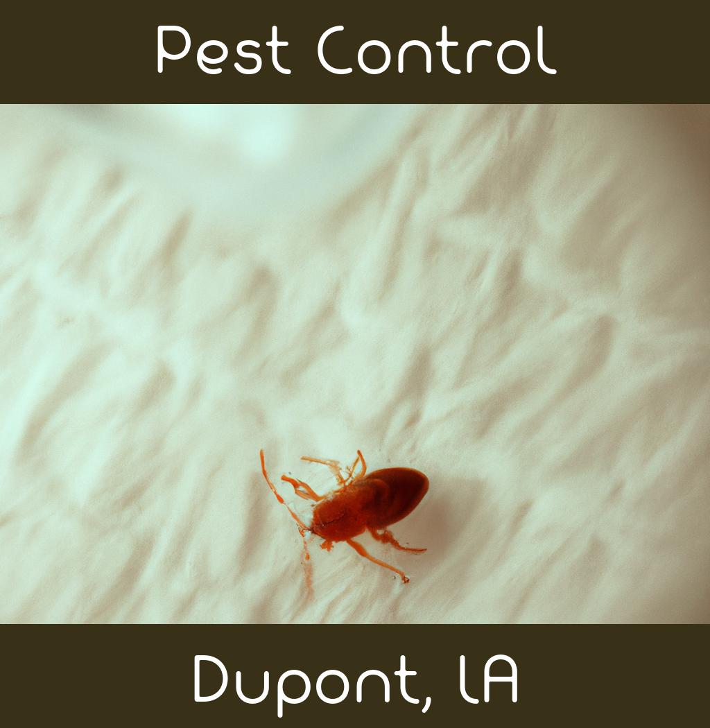 pest control in Dupont Louisiana