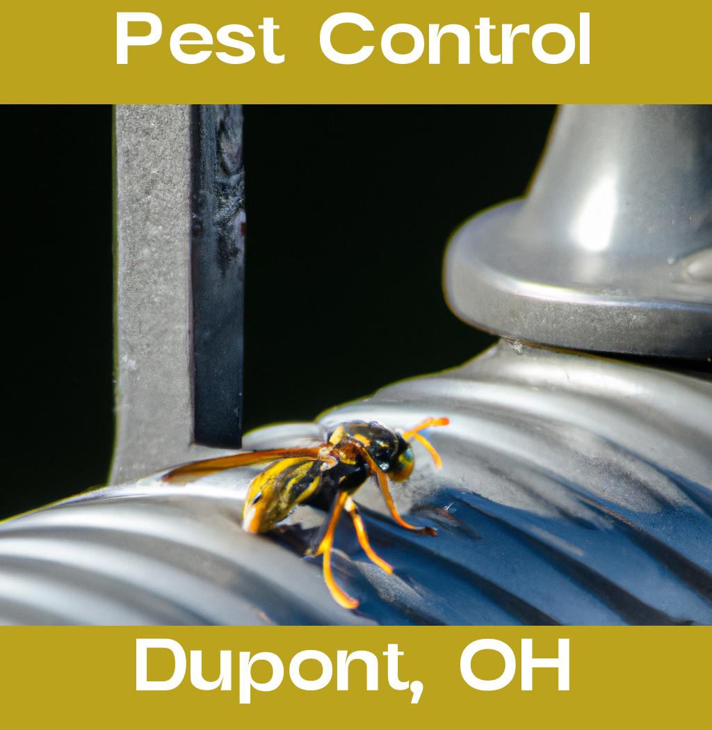 pest control in Dupont Ohio