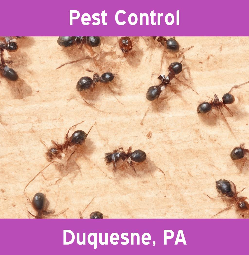 pest control in Duquesne Pennsylvania