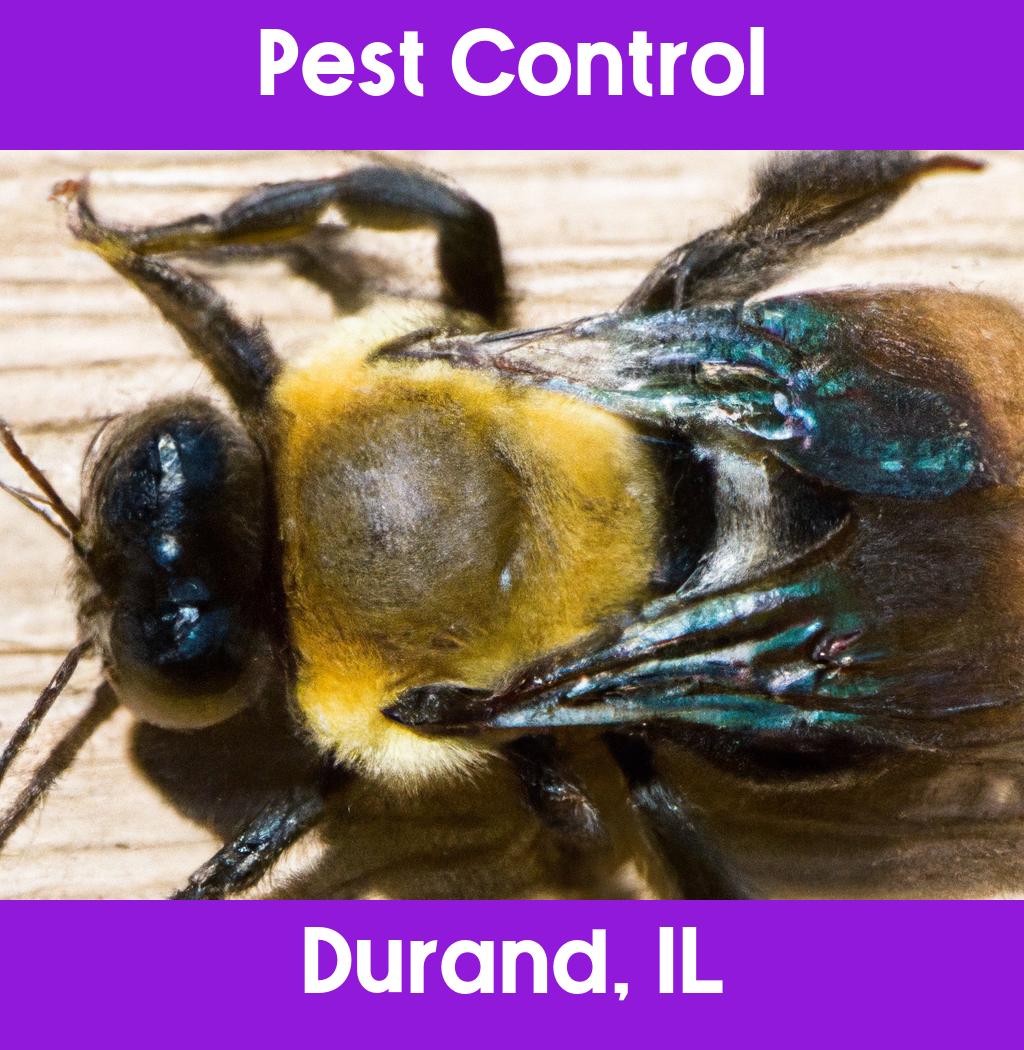 pest control in Durand Illinois