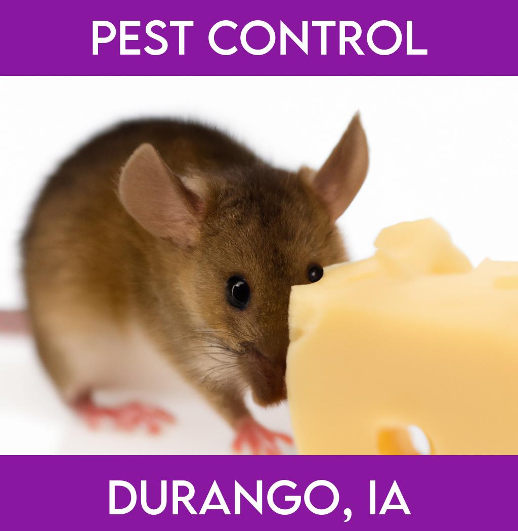 pest control in Durango Iowa