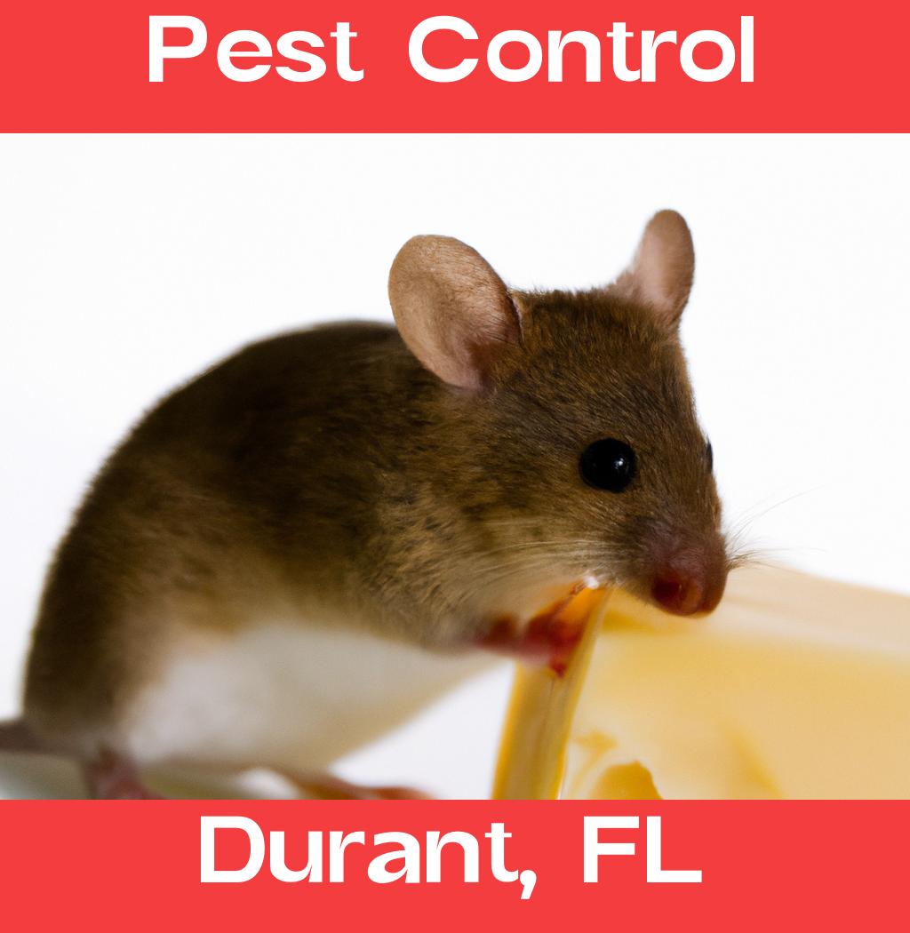 pest control in Durant Florida