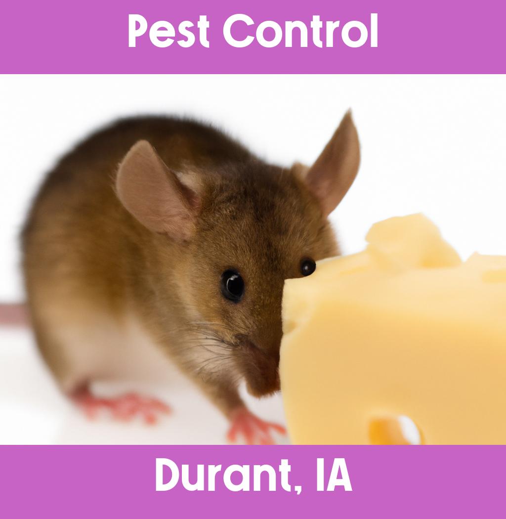 pest control in Durant Iowa