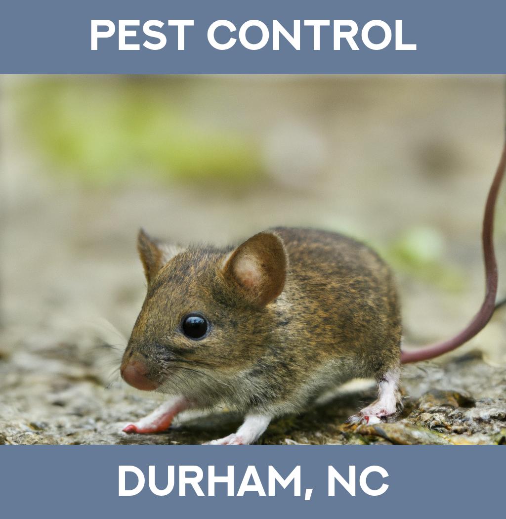 pest control in Durham North Carolina