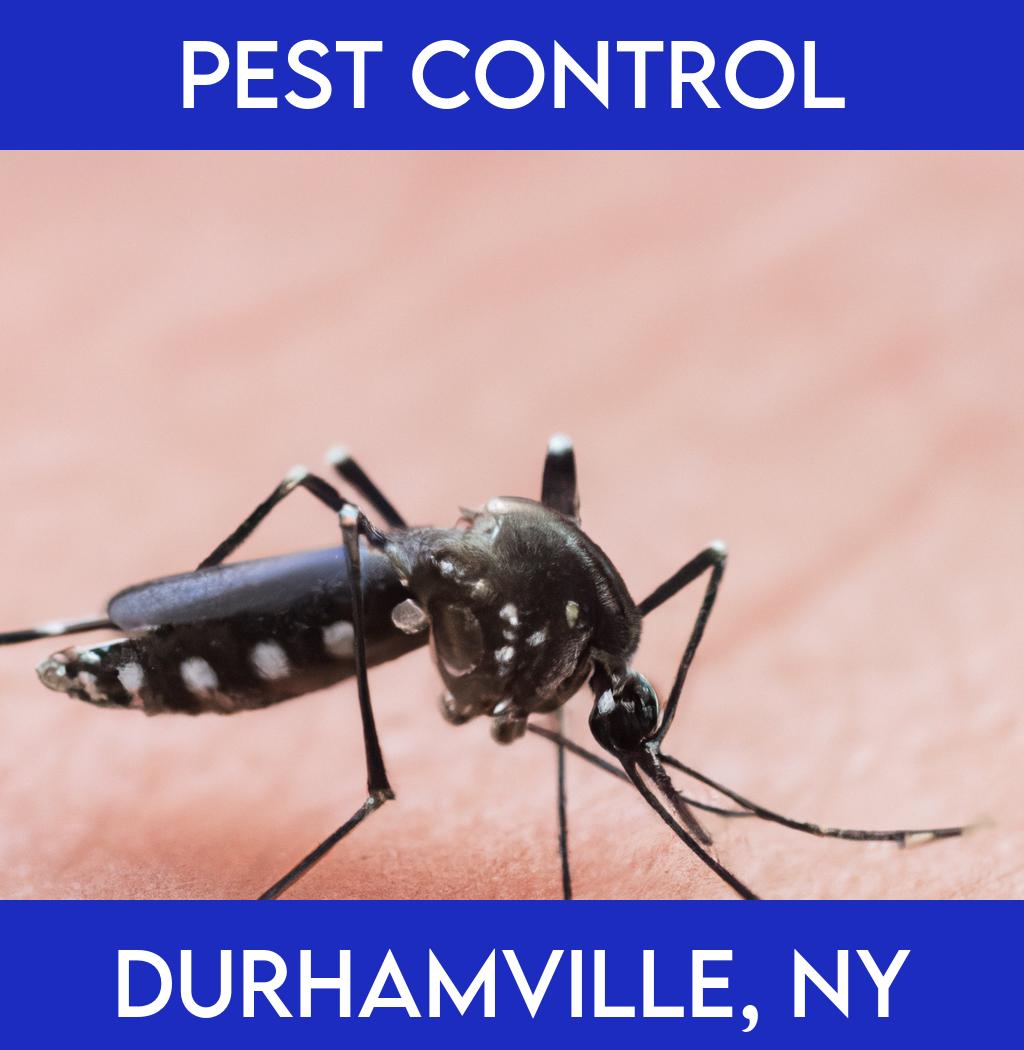 pest control in Durhamville New York