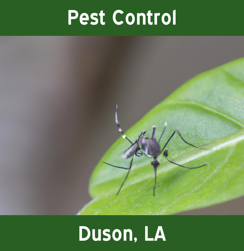pest control in Duson Louisiana