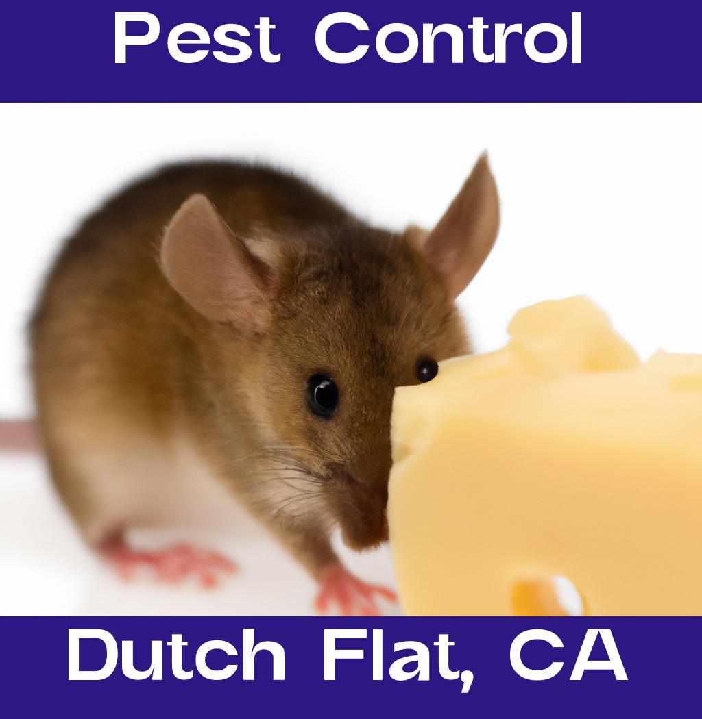 pest control in Dutch Flat California
