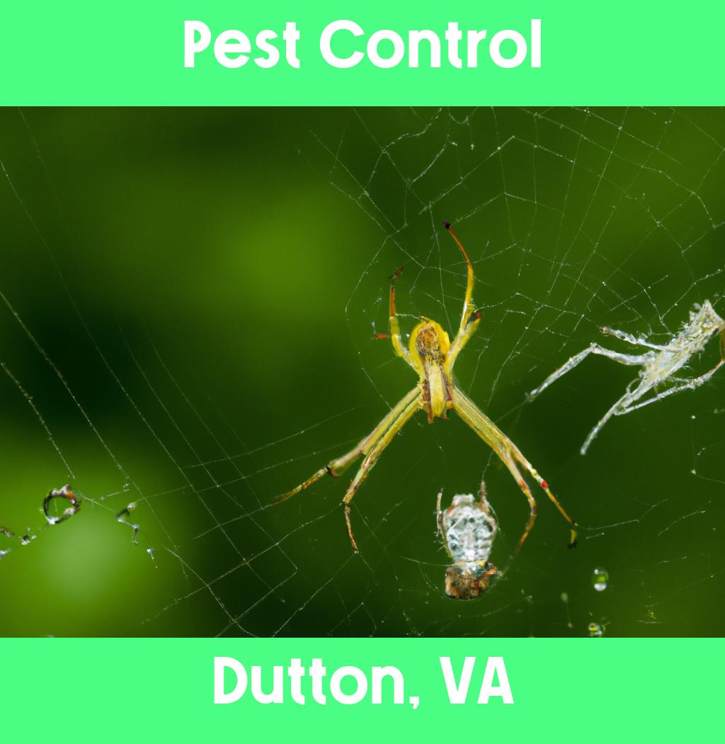 pest control in Dutton Virginia