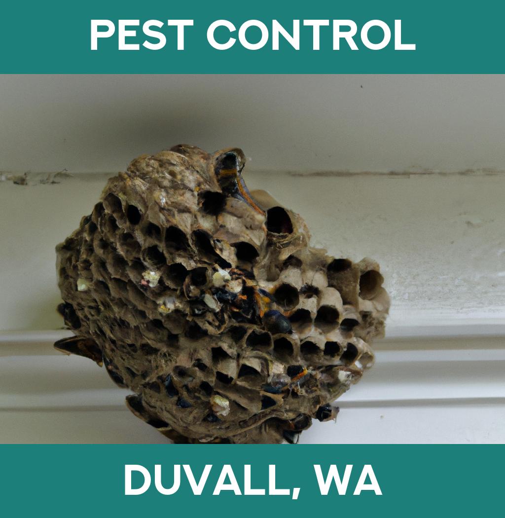 pest control in Duvall Washington