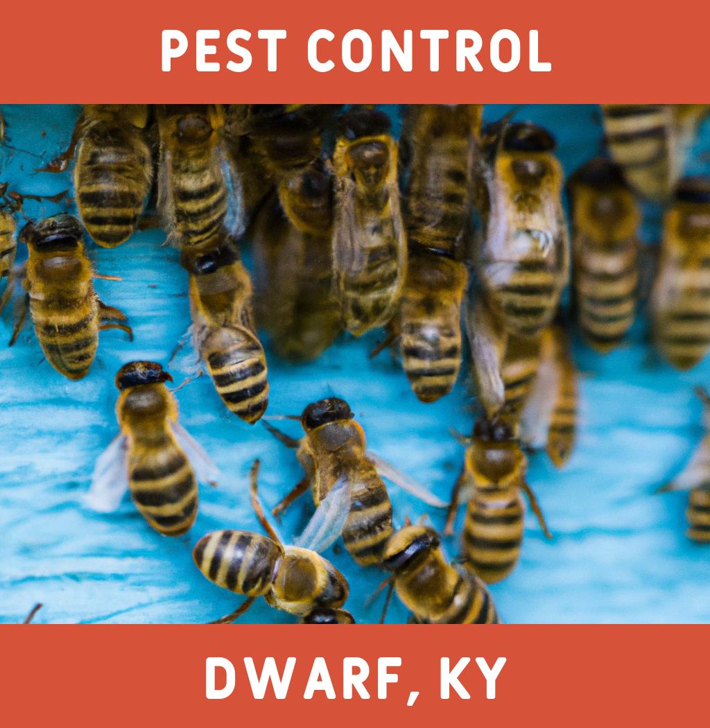 pest control in Dwarf Kentucky