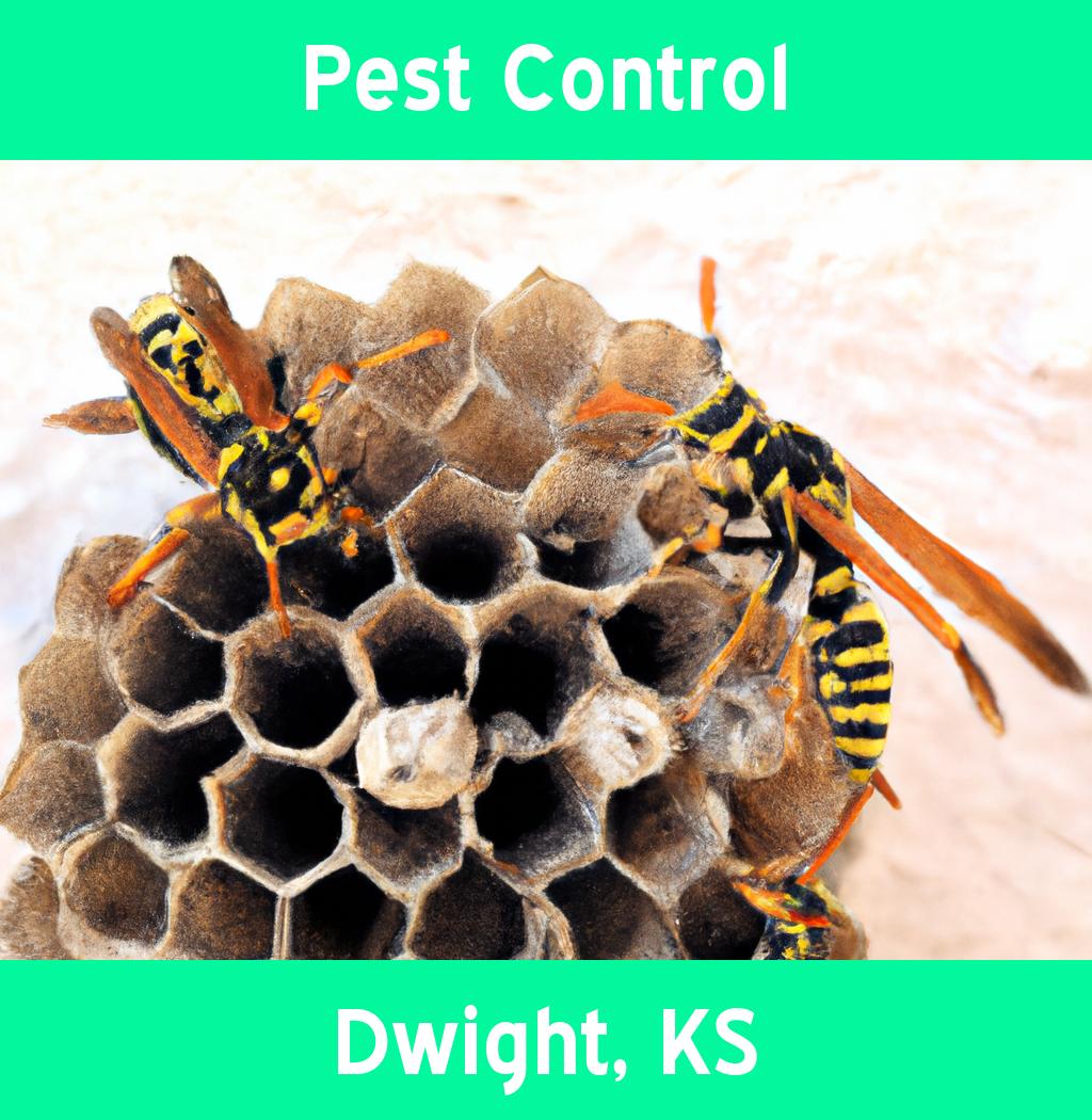pest control in Dwight Kansas