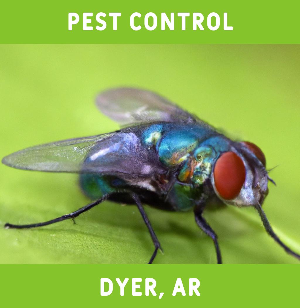 pest control in Dyer Arkansas