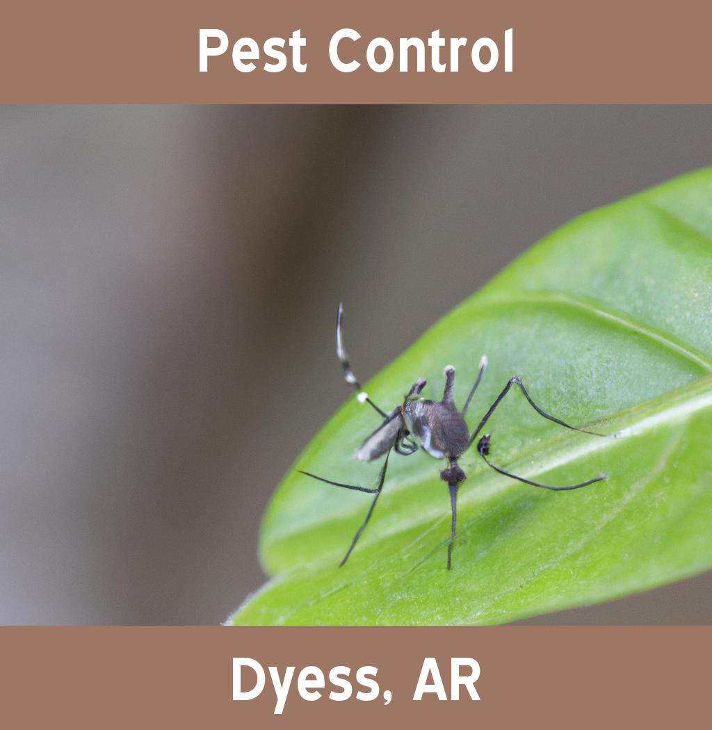 pest control in Dyess Arkansas