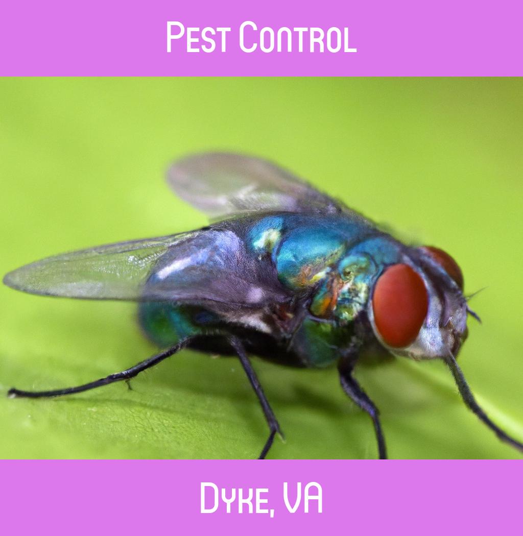 pest control in Dyke Virginia