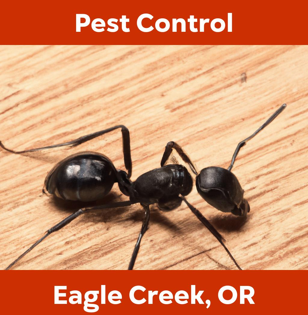 pest control in Eagle Creek Oregon