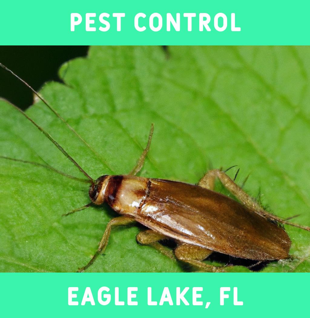 pest control in Eagle Lake Florida