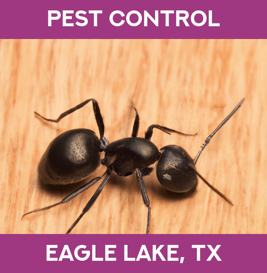 pest control in Eagle Lake Texas
