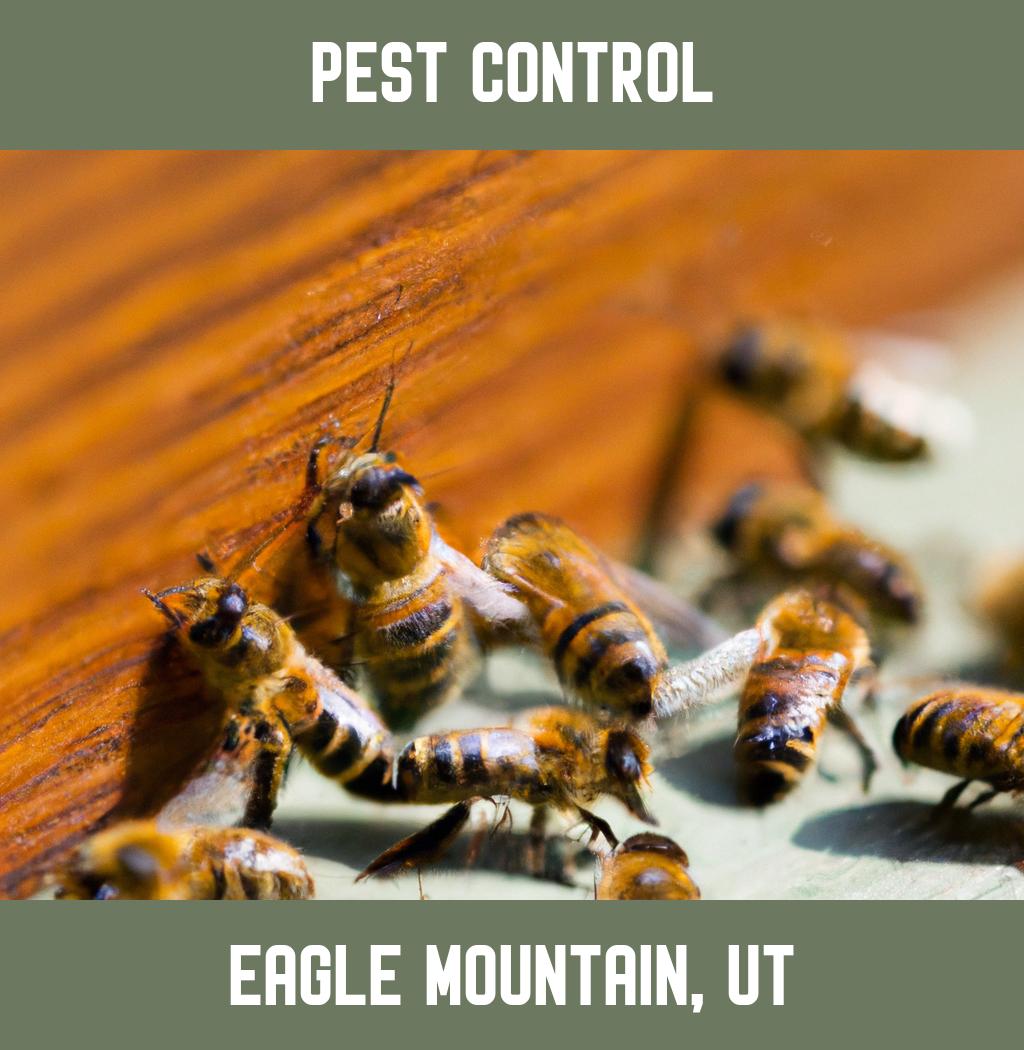 pest control in Eagle Mountain Utah
