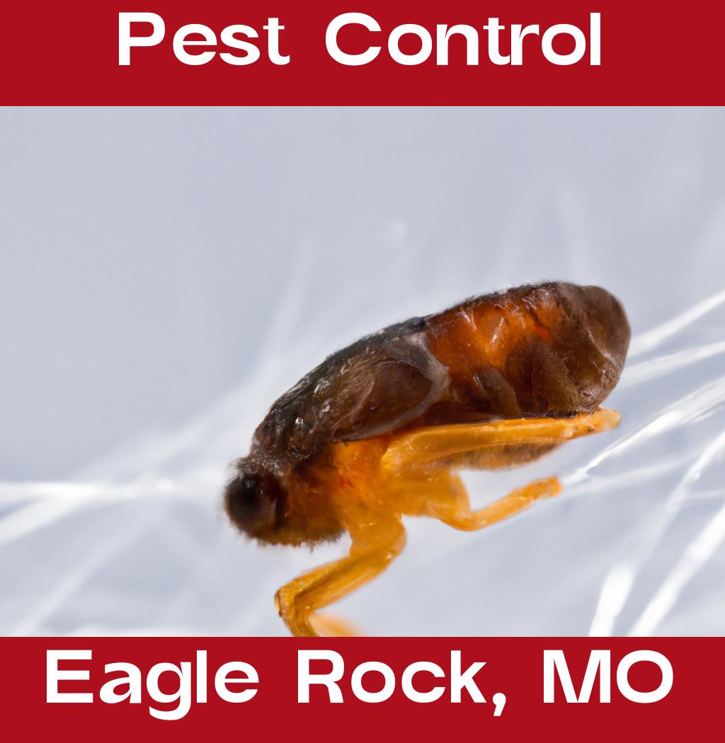 pest control in Eagle Rock Missouri
