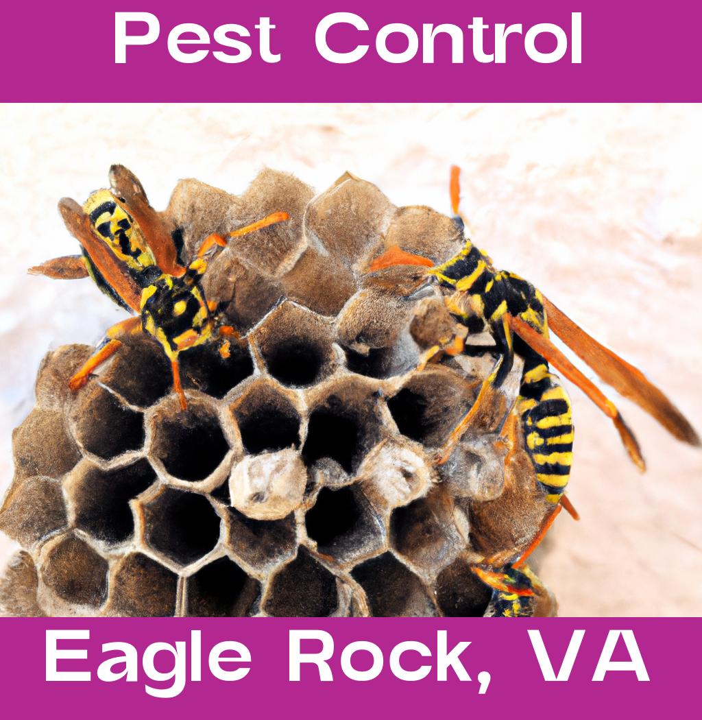 pest control in Eagle Rock Virginia