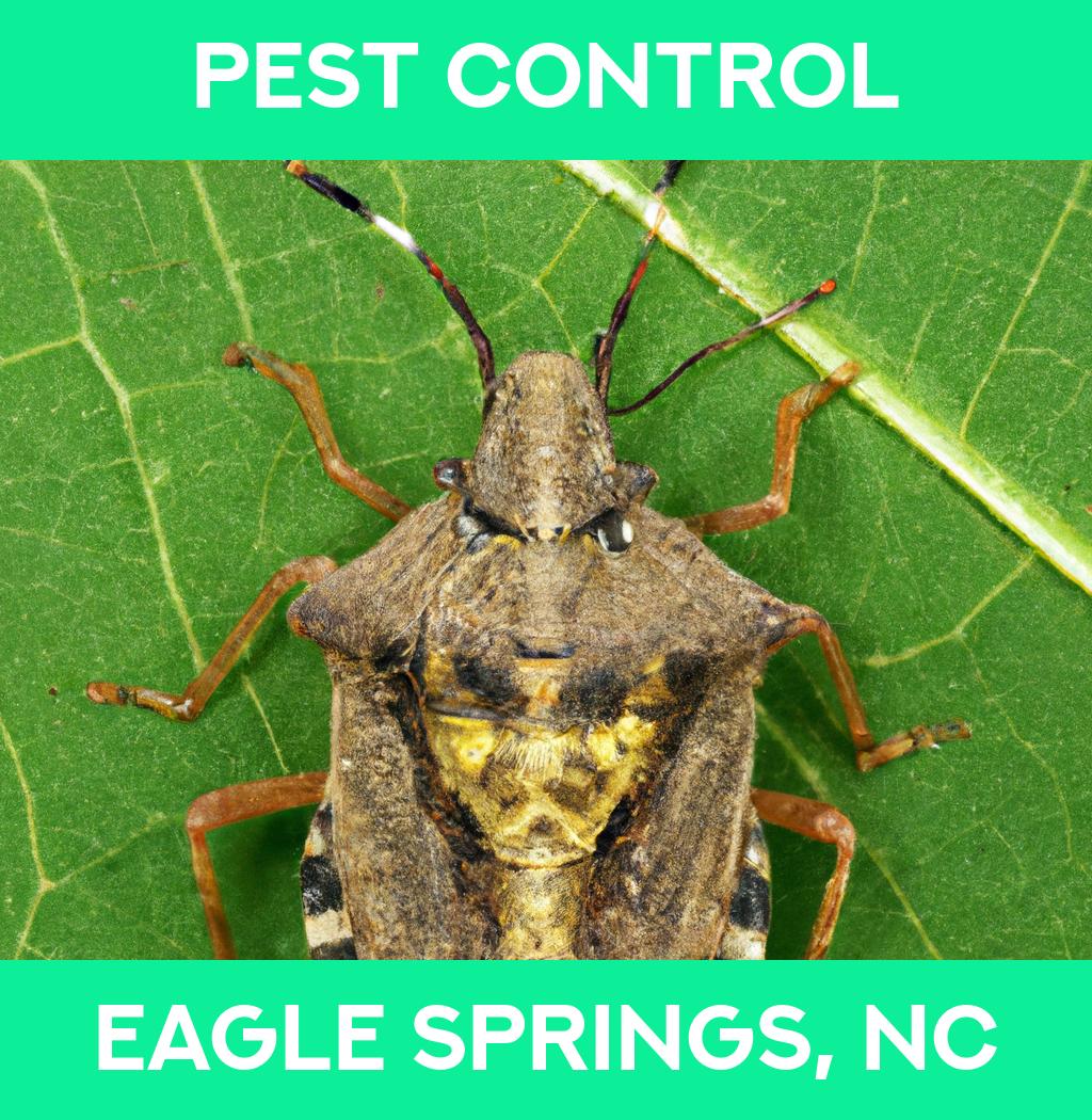 pest control in Eagle Springs North Carolina