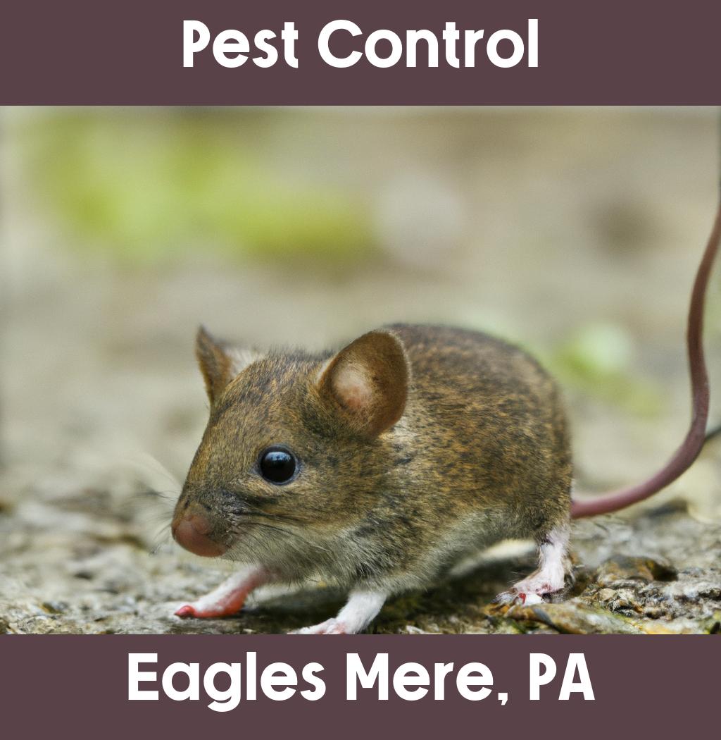 pest control in Eagles Mere Pennsylvania