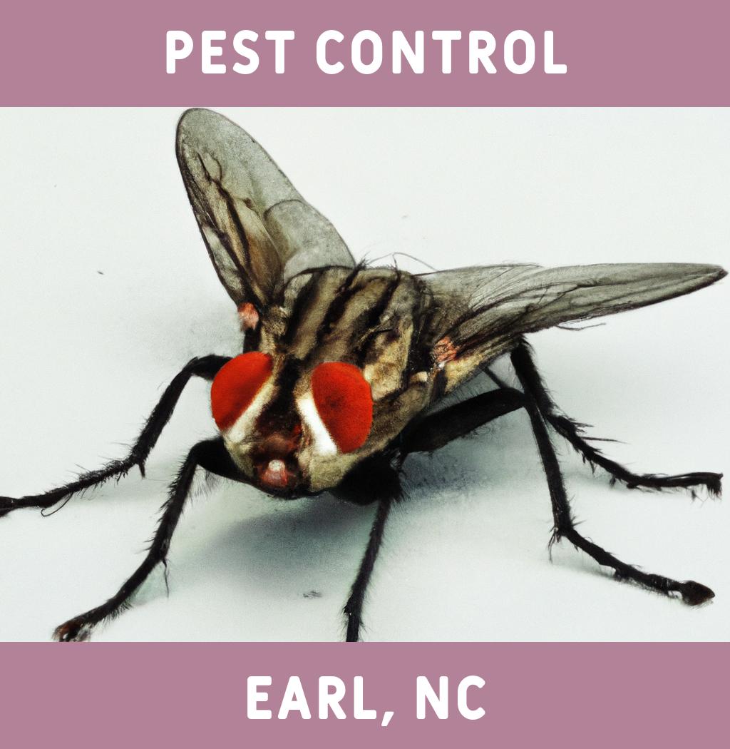 pest control in Earl North Carolina