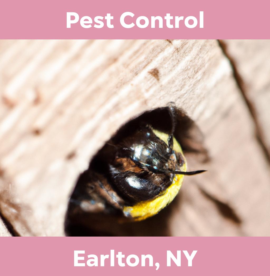 pest control in Earlton New York