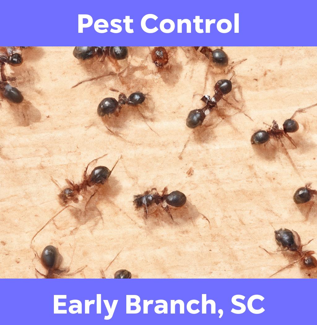 pest control in Early Branch South Carolina