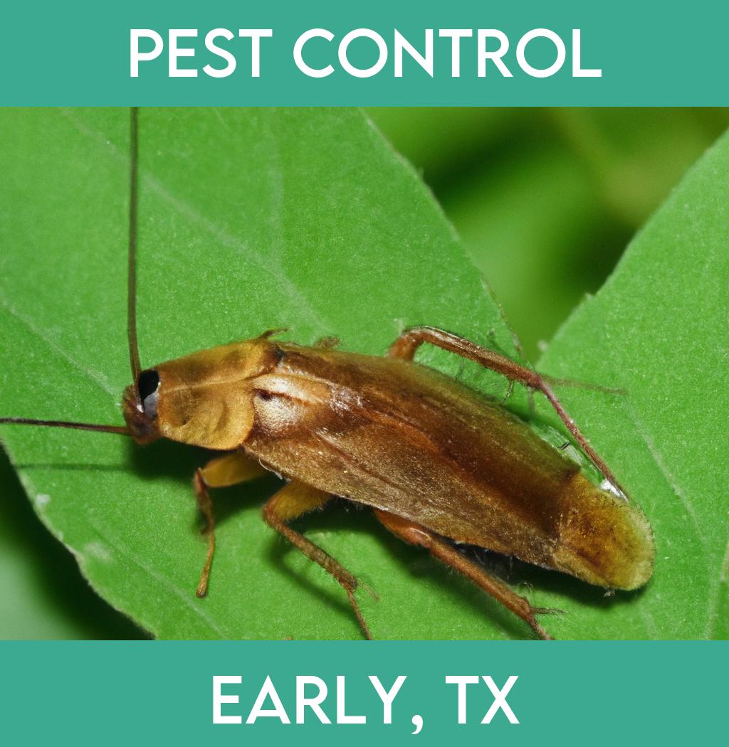 pest control in Early Texas