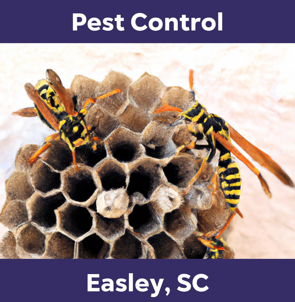 pest control in Easley South Carolina