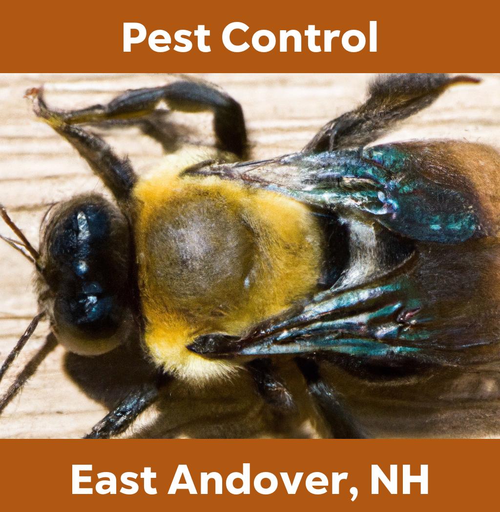 pest control in East Andover New Hampshire