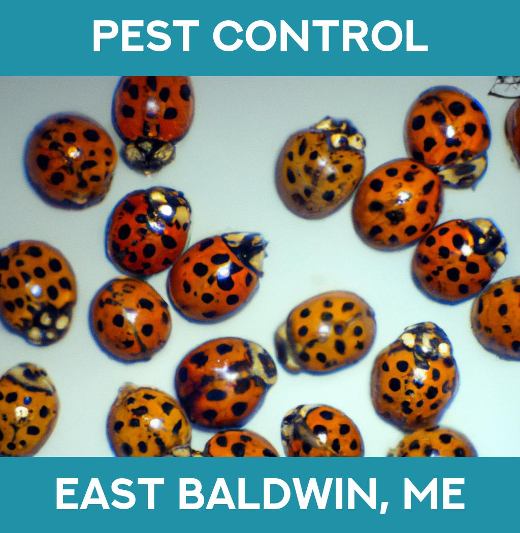 pest control in East Baldwin Maine