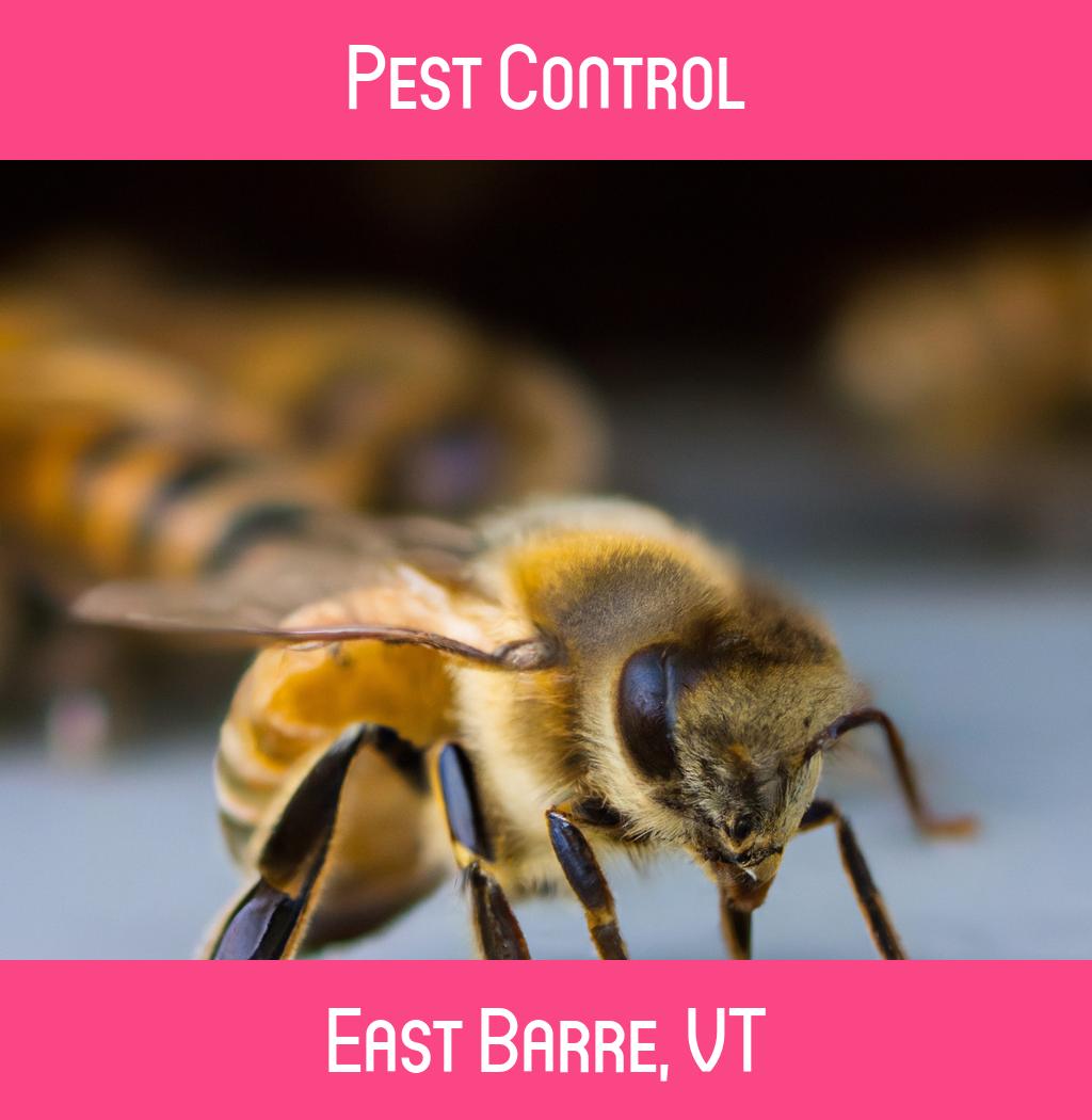 pest control in East Barre Vermont