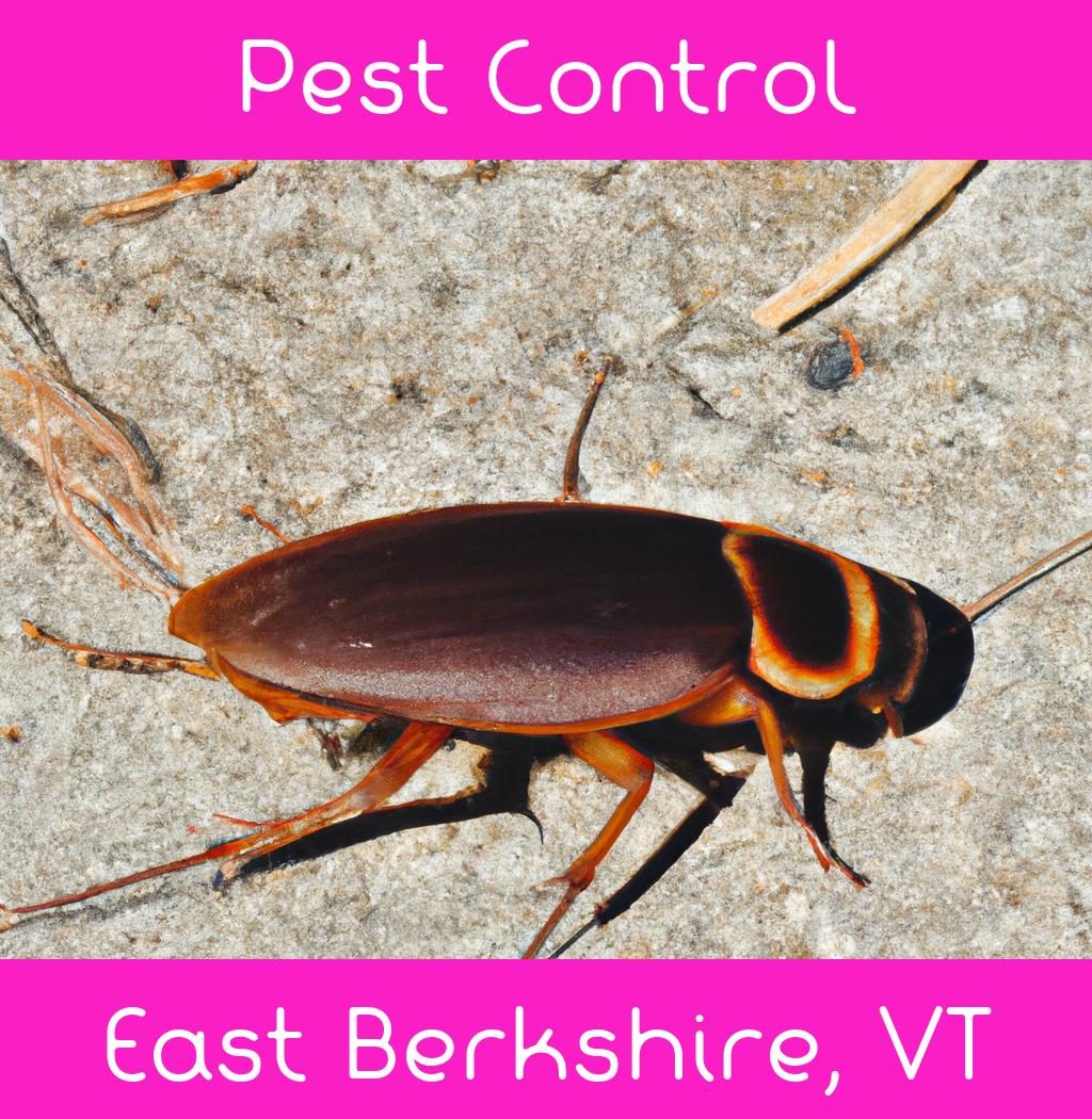 pest control in East Berkshire Vermont
