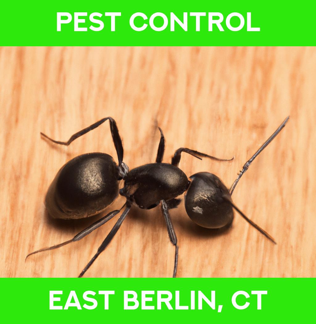pest control in East Berlin Connecticut