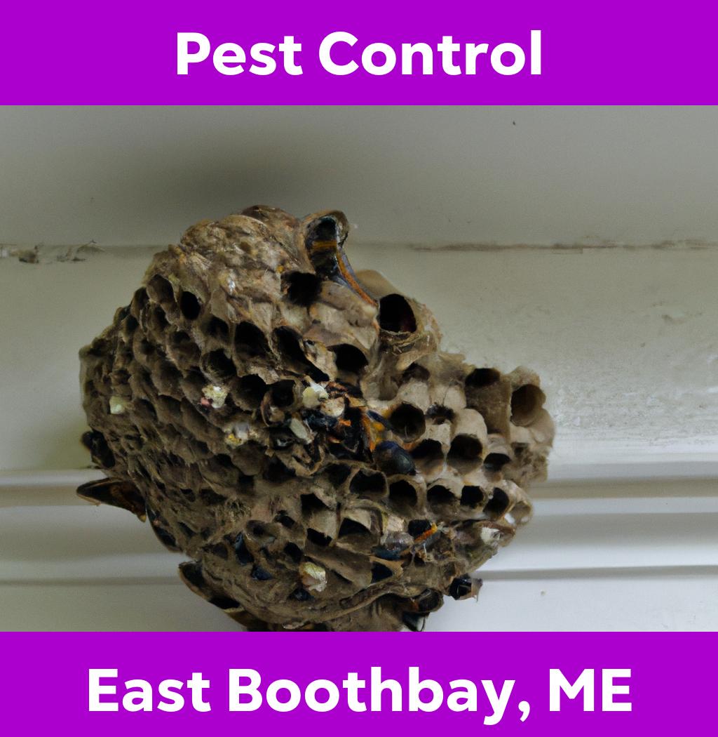 pest control in East Boothbay Maine