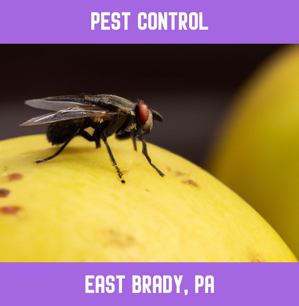 pest control in East Brady Pennsylvania