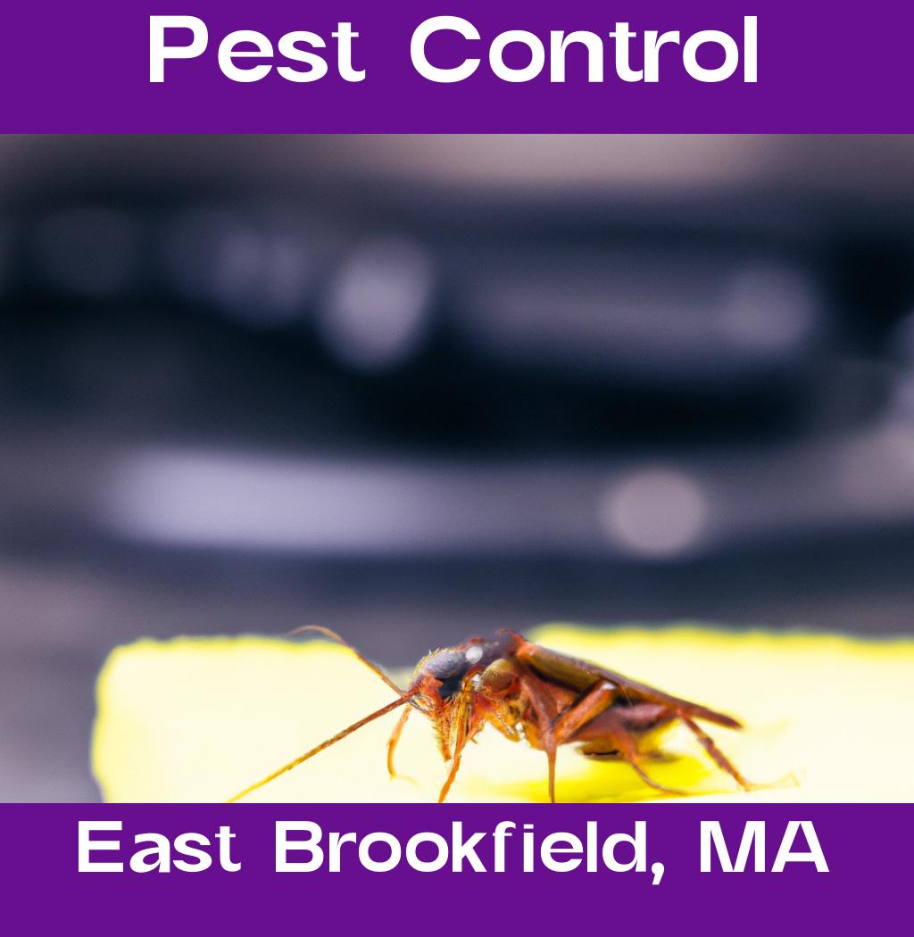 pest control in East Brookfield Massachusetts