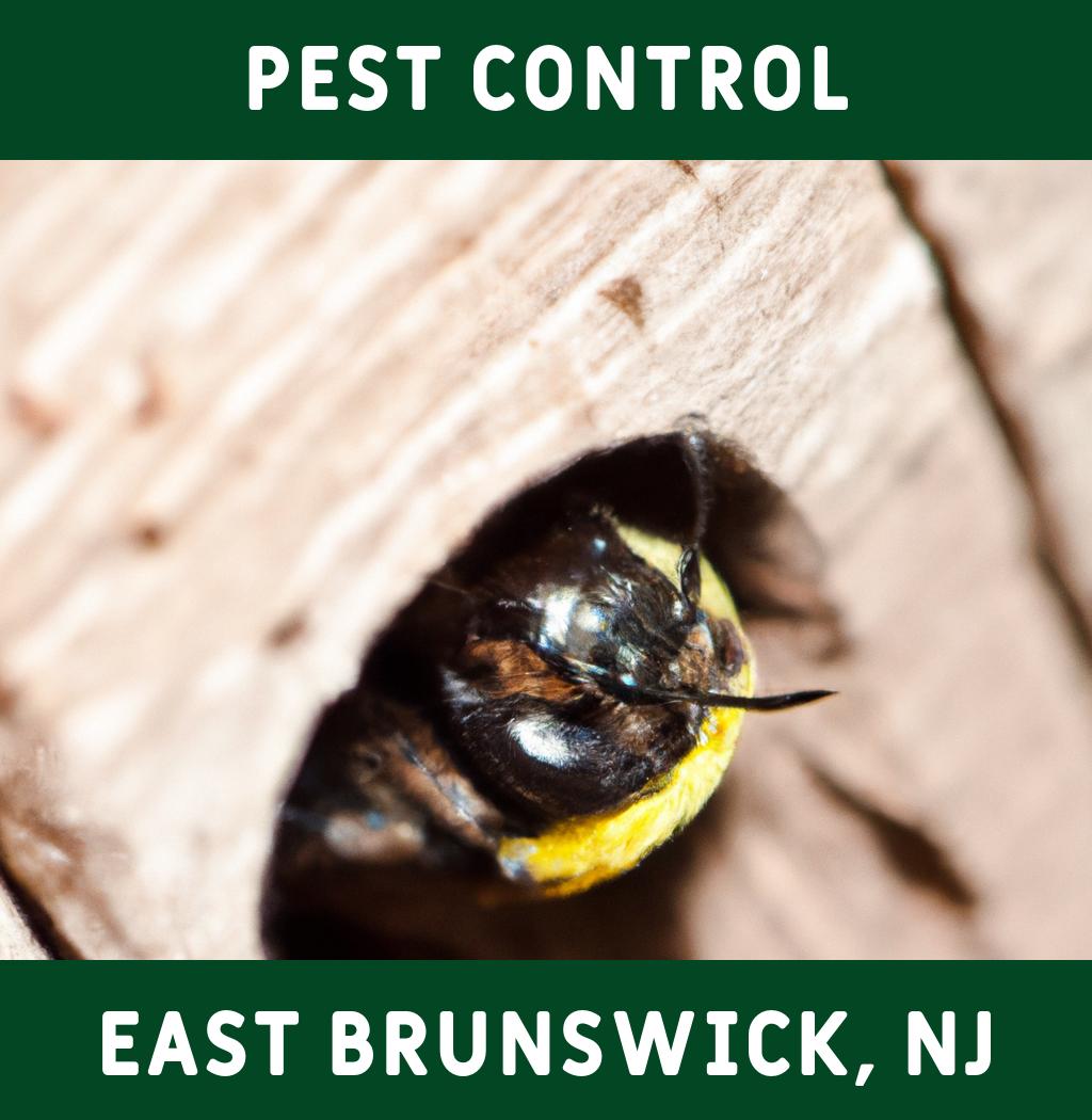 pest control in East Brunswick New Jersey