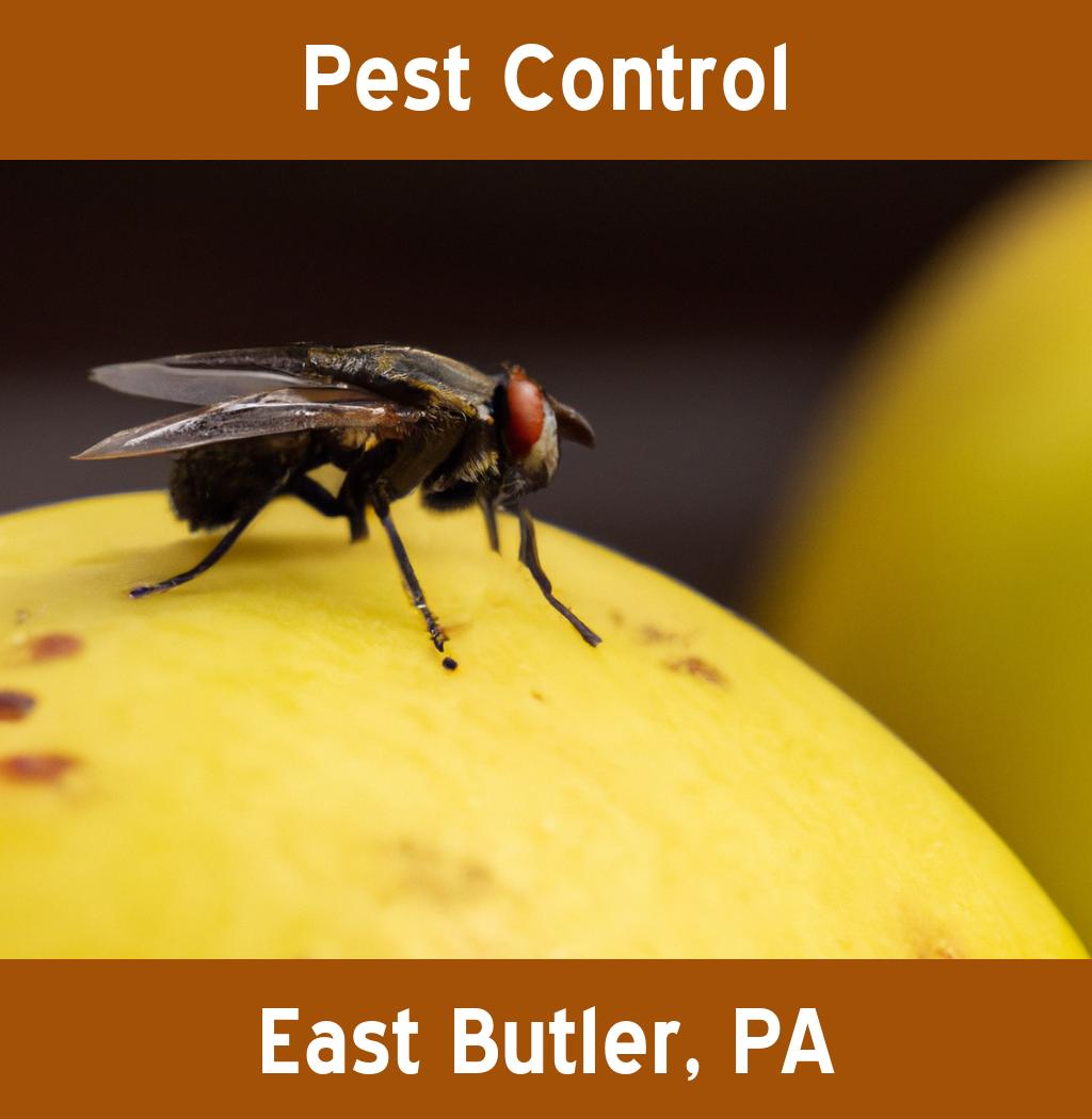 pest control in East Butler Pennsylvania