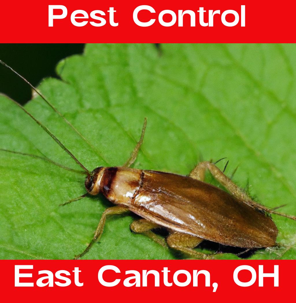 pest control in East Canton Ohio