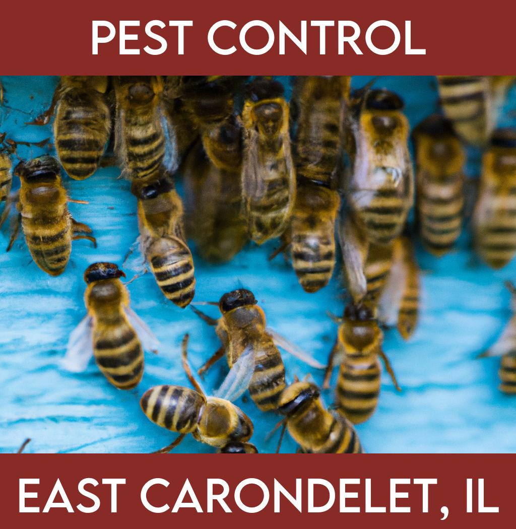 pest control in East Carondelet Illinois
