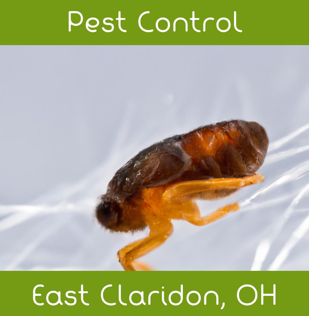 pest control in East Claridon Ohio